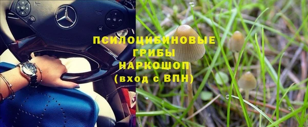 mdpv Бронницы