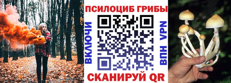 Галлюциногенные грибы Cubensis  Купить  Макушино 